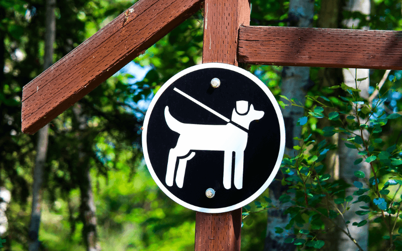 Pet Zone